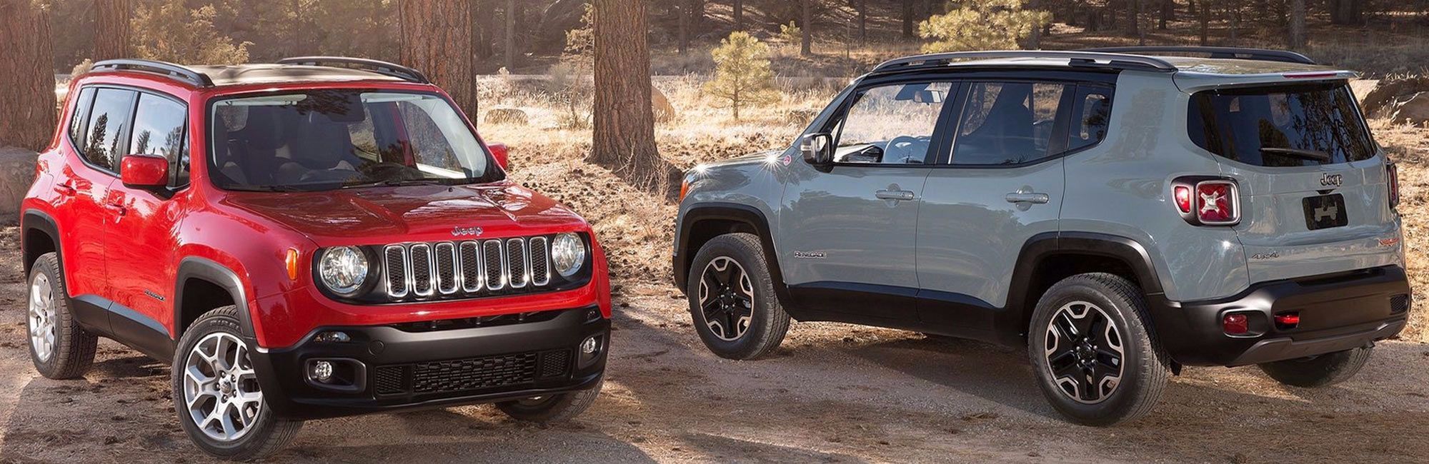 Jeep Renegade Banner