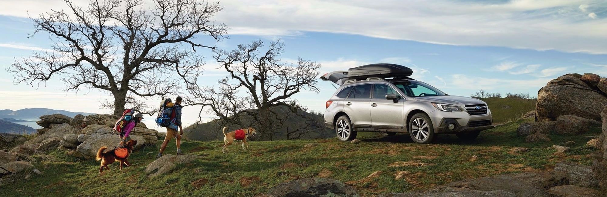 Subaru Outback Banner