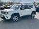 JEEP RENEGADE 2020 (70)