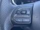 MG MG ZS 2023 (73)