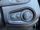 JEEP RENEGADE 2020 (20)