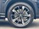 MG MG HS 2025 (25)