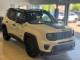 JEEP RENEGADE 2025 (25)