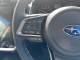 SUBARU CROSSTREK 2025 (25)