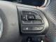 MG MG ZS 2022 (22)