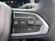 JEEP RENEGADE 2024 