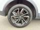 MG MG ZS 2022 (22)