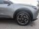 ALFA ROMEO JUNIOR 2025 (25)
