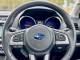 SUBARU OUTBACK 2016 (16)
