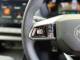 MG MG ZS 2025 (25)