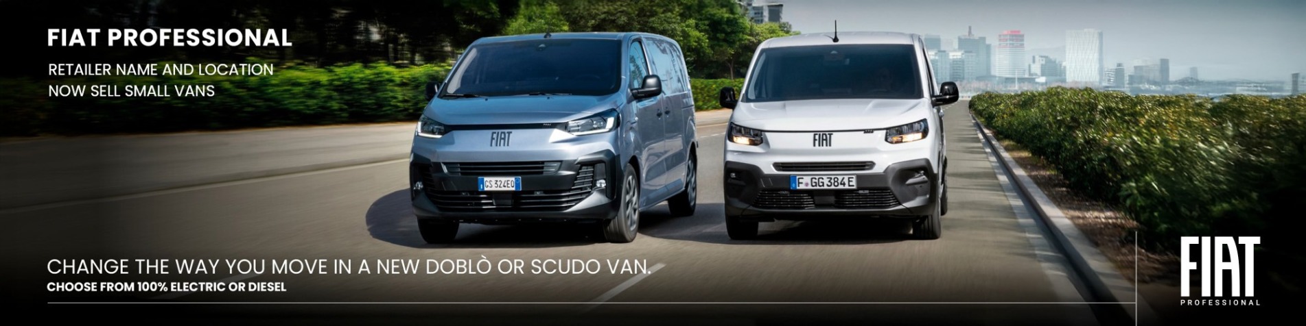 Fiat Professional Banner Q2